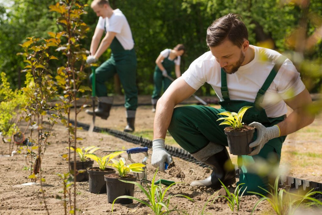 Men working with plants and vegetation outside